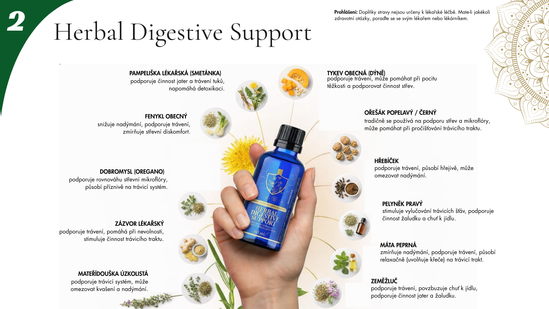 HerbalDiestiveSupport_03a