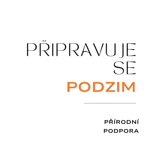 SOS_podzim připravuje se